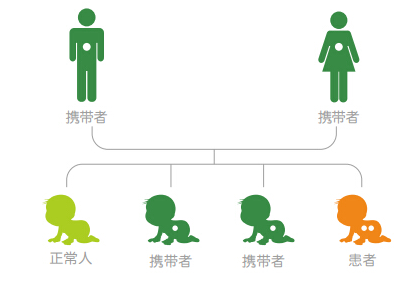 香港母体地贫基因检测预约