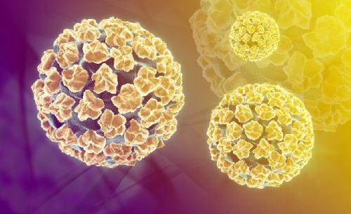 HPV感染会引起哪些疾病?
