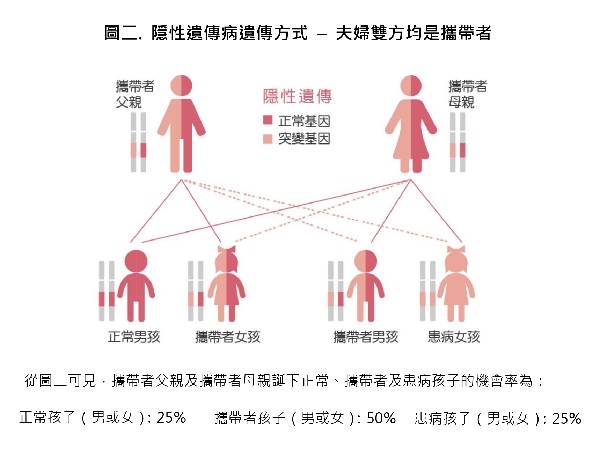 产前遗传病基因检测多少钱